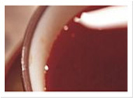 为您把控全局的Web漏洞扫描工具